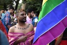 Défilé de la communauté LGBT, le 25 novembre 2018 à New Delhi