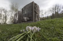 Memorial près de la chambre à gaz du camp de concentration de Natzweiler-Struthof, en avril 2015