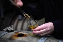Prélèvement de whisky à la distillerie Warenghem, le 13 novembre 2018 à Lannion