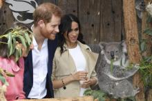 Le prince Harry et son épouse Meghan au zoo de Taronga, le 16 octobre 2018 à Sydney