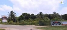 La SPA de Kourou en Guyane