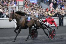 Le cheval "Bold Eagle,"drivé par le jockey Franck Nivard, remporte le Prix d'Amérique le 29 janvier 2017 à Vincennes