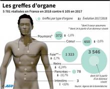 Evolution du nombre de greffes d'organe en France (2017-2018)