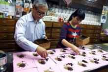 Lee Chin-chang et sa fille Lee Chia-ling préparent des herbes médicinales dans leur boutique à Taïwan le 27 décemgre 2018
