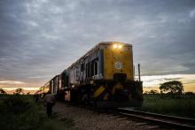 Le "train de la liberté" approche de la ville de Cowdray Park près de Bulawayo au Zimbabwe, le 26 janvier 2019