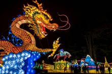 Une lanterne chinoise en forme de dragon dans le parc de Gaillac (Tarn) le 12 décembre 2018