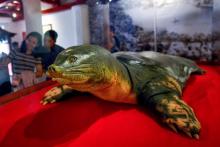 La tortue centenaire Cu Rua momifiée est exposée dans un temple au milieu du lac Hoan Kiem à Hanoï, le 21 mars 2019