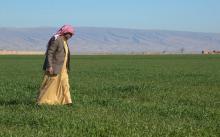 Mehdi Abou Enad, un agriculteur irakien de confession sunnite, dans son champ de Sinjar, dans le nord du pays, le 5 février 2019