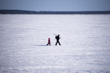 Un homme et son fils marchent sur la glace, dans le golfe de Botnie, près de Vaasa, le 20 mars 2018 en Finlande
