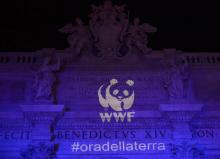 Le logo de WWF propeté sur la basilique Saint-Pierre à Rome le 16 mars 2016