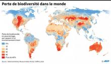 Carte du monde montrant la perte de biodiversité par région par rapport à un environnement intact