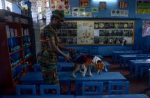 Un démineur sri-lankais fait inspecter une salle de classe par un chien détecteur d'explosifs à Colombo, le 5 mai 2019, à la veille de la réouverture des écoles du pays.