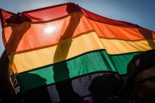 Photo d'un drapeau arc-en-ciel, symbole de la communauté LGBT, brandi à Durban (Afrique du Sud), le 30 juin 2018