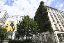 Un mur végétalisé à Paris le 13 juillet 2019