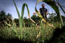 L'éleveur Romain Chauffour, victime de ls sécheresse, lors d'une interview avec l'AFP, le 18 juillet 2019 à Crevant-Laveine, dans le Puy-de-Dôme