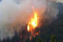 Un feu de forêt près de la ville de Ghisoni, en Corse, le 28 octobre 2017