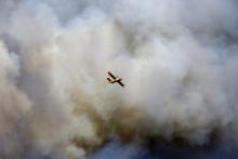 Des incendies attisés par des vents violents se sont déclarés à Argelès-sur-Mer (Pyrénées-Orientales) et dans deux communes de l'Aude où 300 hectares de forêts et broussailles sont partis en fumée