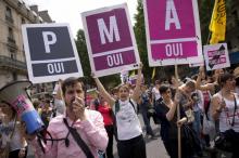 Manifestation pro PMA pendant la Gay Pride, le 29 juin 2013 à Paris