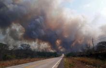 L'Amazonie est en flammes