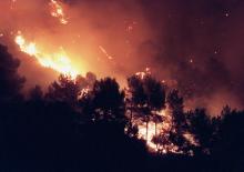 Quelque 280 pompiers luttaient dans la nuit de mercredi à jeudi dans l'Aude contre un incendie ayant détruit environ 400 hectares de pinèdes et qui continuait de progresser