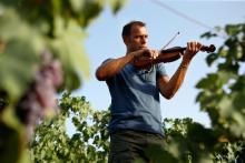 Bertrand Cervera joue du violon dans les vignes corses du Domaine Abbatucci, à Casalabriva, le 11 août 2019