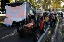 Des agriculteurs manifestent le 5 novembre 2019 à Nice