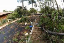 Arbres et pylône électrique abattus dans une rue de Lacanau (sud-ouest ) après le passage de la tempête Amélie, le 3 novembre 2019