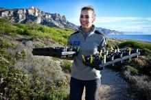 Une employée du parc national des calanques, près de Marseille, s'apprête à repiquer le 25 novembre 2019 des plants d'astragale