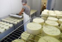 Le projet d'accord aurait accordé la dénomination "camembert AOP de Normandie" à tout fromage, y compris les industriels au lait pasteurisé