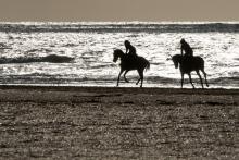 Des cavaliers sur la plage de Deauville, le 5 septemnbre 2019