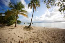 La plage des Salines, déserte, le 20 mars 2020 au Gosier, en Guadeloupe, pendant le confinement