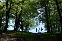 Des promeneurs dans la forêt d'Iraty, le 17 mai 2020 près de Larrau, dans les Pyrénées-Atlantiques