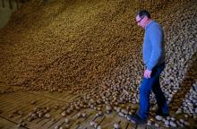 Christophe Delebarre, producteur de pommes de terre dans le Nord, devant son stock invendu le 15 mai 2020