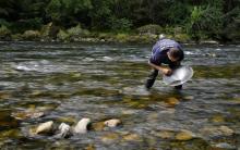 David Bruno, orpailleur amateur, cherche dans la rivière du Salat des paillettes d'or, le 24 août 2020 près de Mercenac, en Ariège