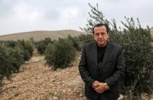 Suleiman Sheikho, dans son champ d'oliviers à Arbil dans le Kurdistan irakien, le 22 février 2020
