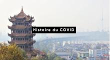 L'histoire du Covid