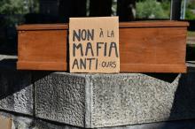 Manifestation le 20 juin 2020 devant la préfecture de l'Ariège, à Foix, après qu'un ours a été abattu dans les Pyrénées