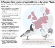Face à la flambée du nombre d'élevages contaminés par la grippe aviaire dans le Sud-Ouest, des professionnels du foie gras poussaient jeudi les autorités sanitaires à procéder à des abattages préventi