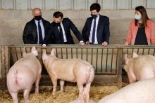 Le président Emmanuel Macron (2e g) visite la ferme d'Etaules, accompagné du ministre de l'Agriculture Julien Denormandie (2e d), le 23 février 2021 près de Dijon