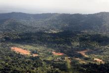 Vue aérienne du site de la Montagne d'or, dans l'ouest de la Guyane, projet d'exploitation minière à ciel ouvert, le 12 octobre 2017