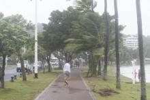 Nouméa lors du passage du cyclone Pam en mars 2015