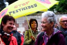 Rassemblement en soutien au maire de Langouet, poursuivi en justice pour avoir signé un arrêté anti-pesticides sur sa commune, le 14 octobre 2019 à Rennes