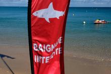 Un drapeau "baignade interdite" en raison de la présence de requins, sur la plage de la Baie-des-Citrons, à Nouméa, en Nouvelle-Calédonie, le 29 avril 2021