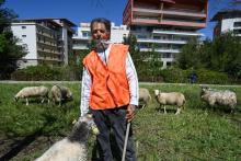 Nourredine Guerbati, 59 ans, un berger urbain à Montpellier, le 21 avril 2021