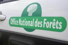 L'Office national des forêts (ONF), qui gère les forêts publiques françaises, va supprimer 475 postes sur 8.400 dans les cinq ans