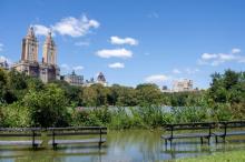 Central Park à New York inondé après le passage de la tempête Ida