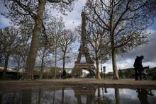 Des associations et personnalités dénoncent l'abattage prévu d'une vingtaine d'arbres, dont certains très vieux, au pied de la Tour Eiffel