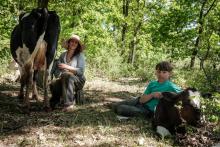 Oksana Bout et son fils Oleg avec leurs vaches près de Bakhmout, dans l'est de l'Ukraine, le 12 mai 2022