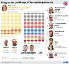 Composition des groupes politiques formés à l'Assemblée nationale, siégeant dans la majorité ou dans l'opposition, par ordre de taille (nombre de députés inscrits)