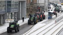 Grève agriculteurs allemands 8 janvier Lauriane